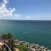 a-riの画像