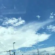しの画像