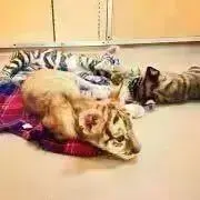 ˚✧₊グレージュ⁎⁺˳✧の画像