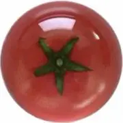 ¿の画像