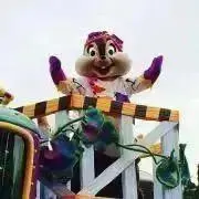ちっぷの画像