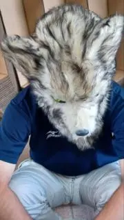 タカ
