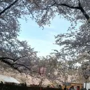 88の画像