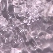 ぽてとの画像