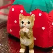 Maron.の画像