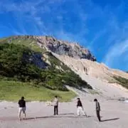 りん