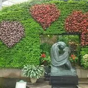 とらむすめの画像