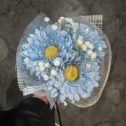 Mの画像