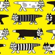 AOちゃん※の画像