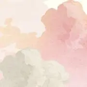 teliの画像