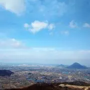 カンマロの画像