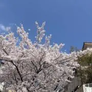 아줌마 【全て15日までの出品】の画像