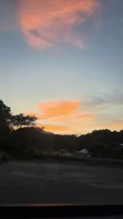 ToTの画像