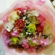 ゆい子の画像
