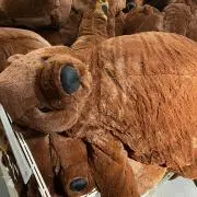 たかはし
