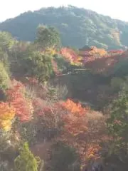 なぬなぬの画像