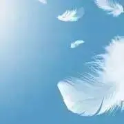 かとのりの画像