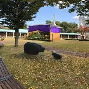 styの画像
