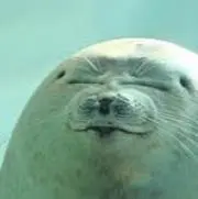 ゆずの画像