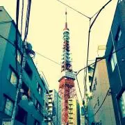 nokの画像