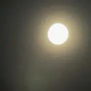 め*だ様 ⭐️プラダ☆ジャケット☆チャコールグレー☆軽量☆ヴィーガン