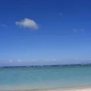 なーすけ