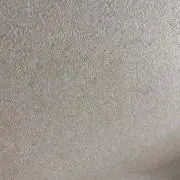 【TEY】の画像