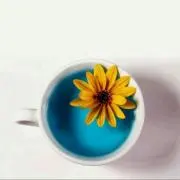 ひまわりの画像