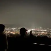 智明