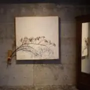 ☆の画像