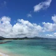 Quaxwellの画像