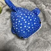 まふぃんの画像