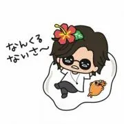 ハイビスカスの画像