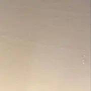 にんじんの画像