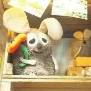 りいむの画像