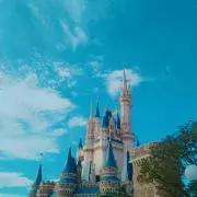 しゅがの画像