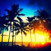 Aloha