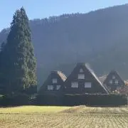 Jun