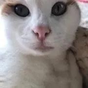 ももなな˚✧プロフ確認*・☆*
