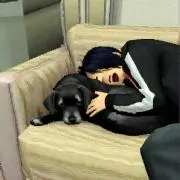 ワニの画像
