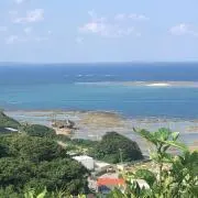 ns325の画像