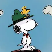 Pesciの画像