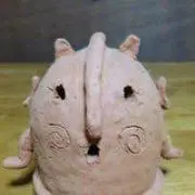 Mayuta