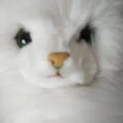 akiyaの画像