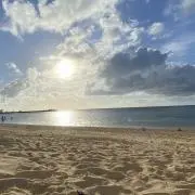 カリフラワーの画像