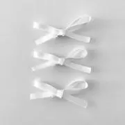 ribbon ୨୧の画像