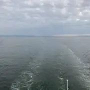 YTPGの画像