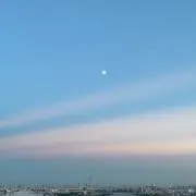 Rの画像