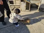 さらの画像