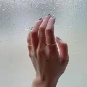 c.n.s.の画像